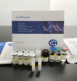 Human Angiotensin II ELISA Kit 